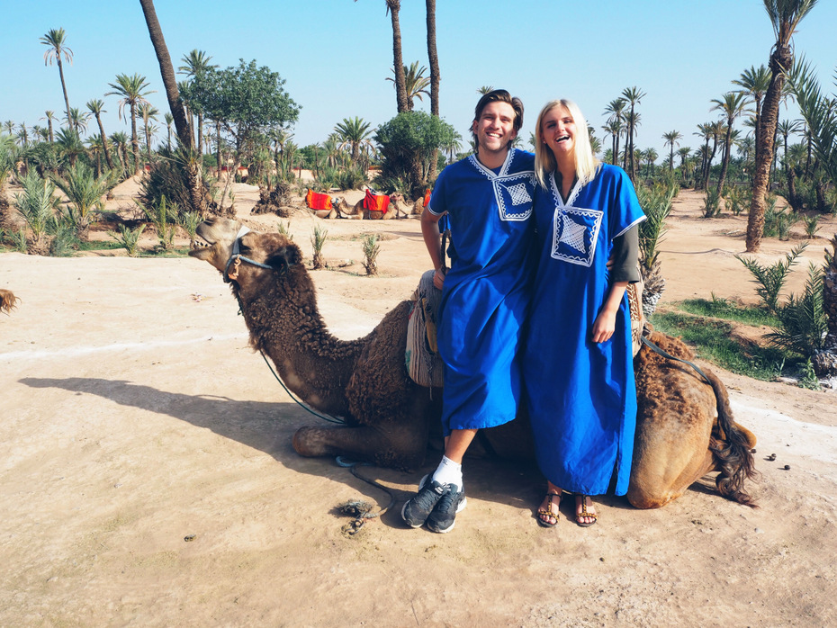 Marrakech-camel